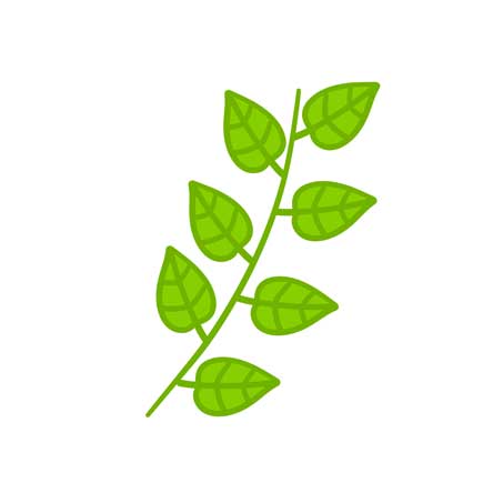  الگوریتم Freshness برای رتبه بندی