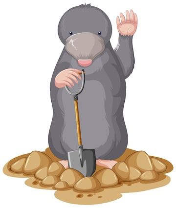 معیار های ارزیابی الگوریتم موش کور