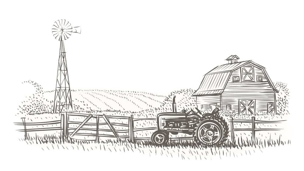 مرزعه لینک link farm