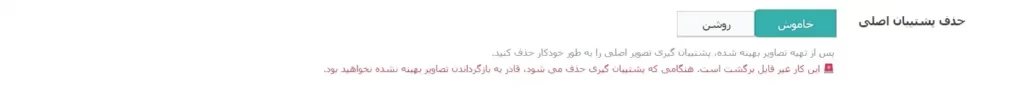 حذف پشتیبان اصلی 
